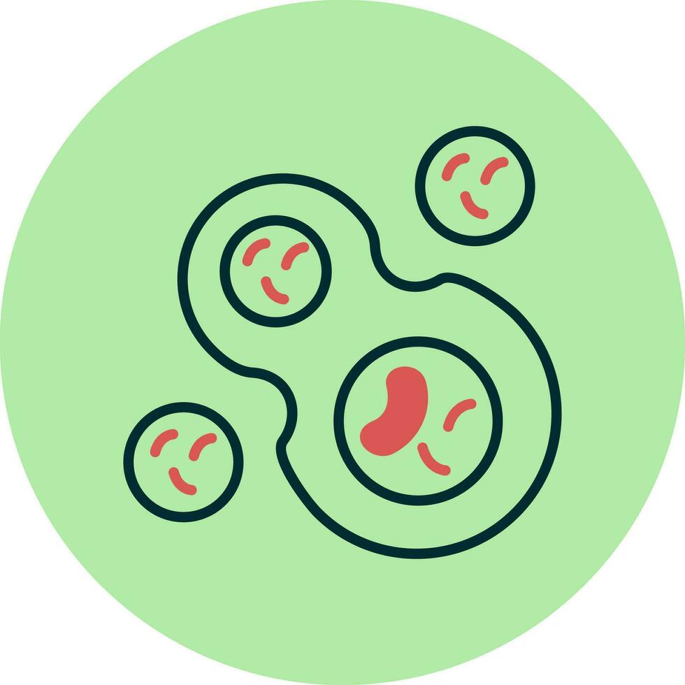 Cell Division Vector Icon