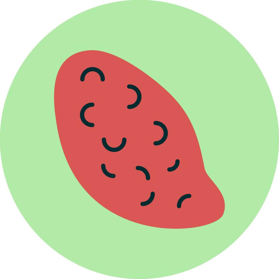 Sweet Potato Vector Icon