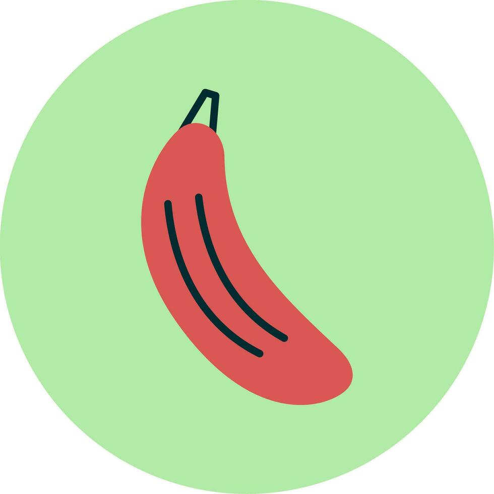 Zucchini Vector Icon