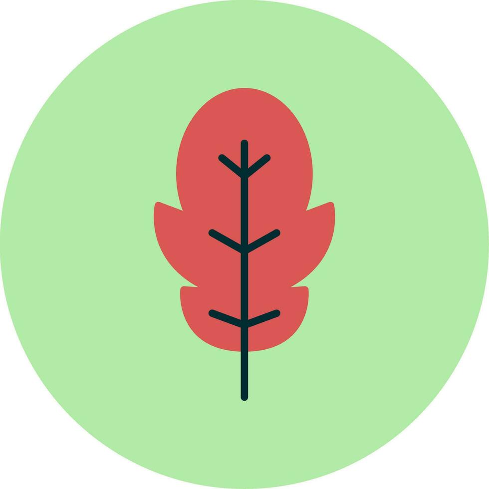 Arugula Vector Icon