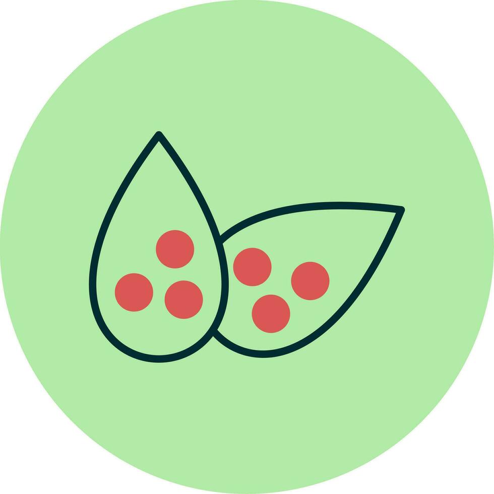 Lentils Vector Icon