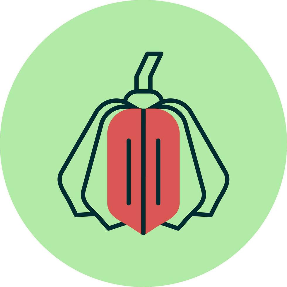 Acorn Squash Vector Icon