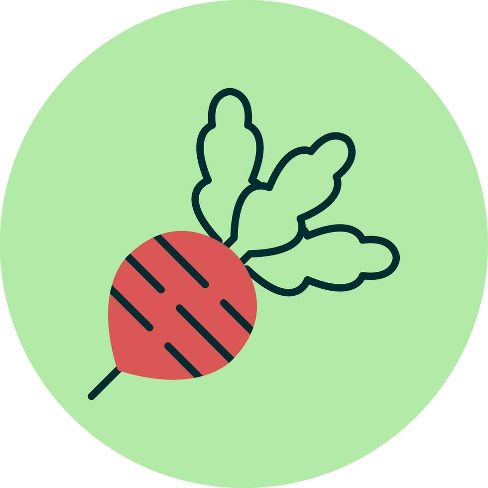 Radish Vector Icon