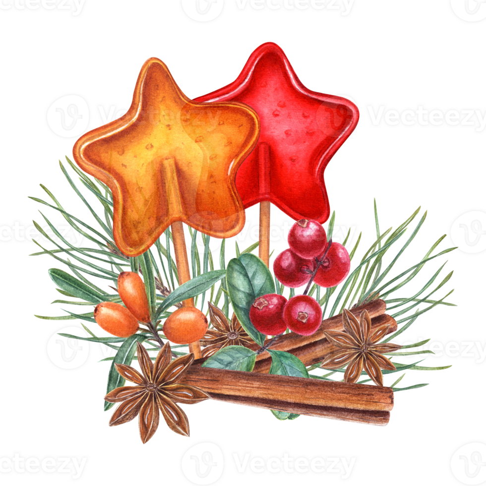 Caramels in the shape of star, star anise, cinnamon sticks, pine sprig, red and orange berries. Sea buckthorn, lingonberry, lollipop on the stick, badian. Watercolor illustration for greeting png