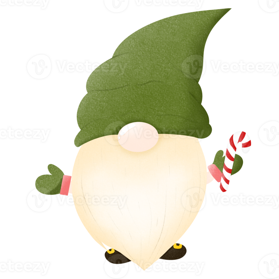 Christmas gnome with green hat png