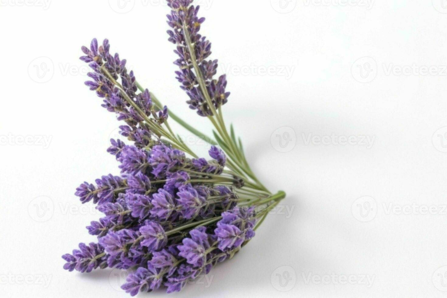 Lavender flower. background. AI Generative Pro Photo