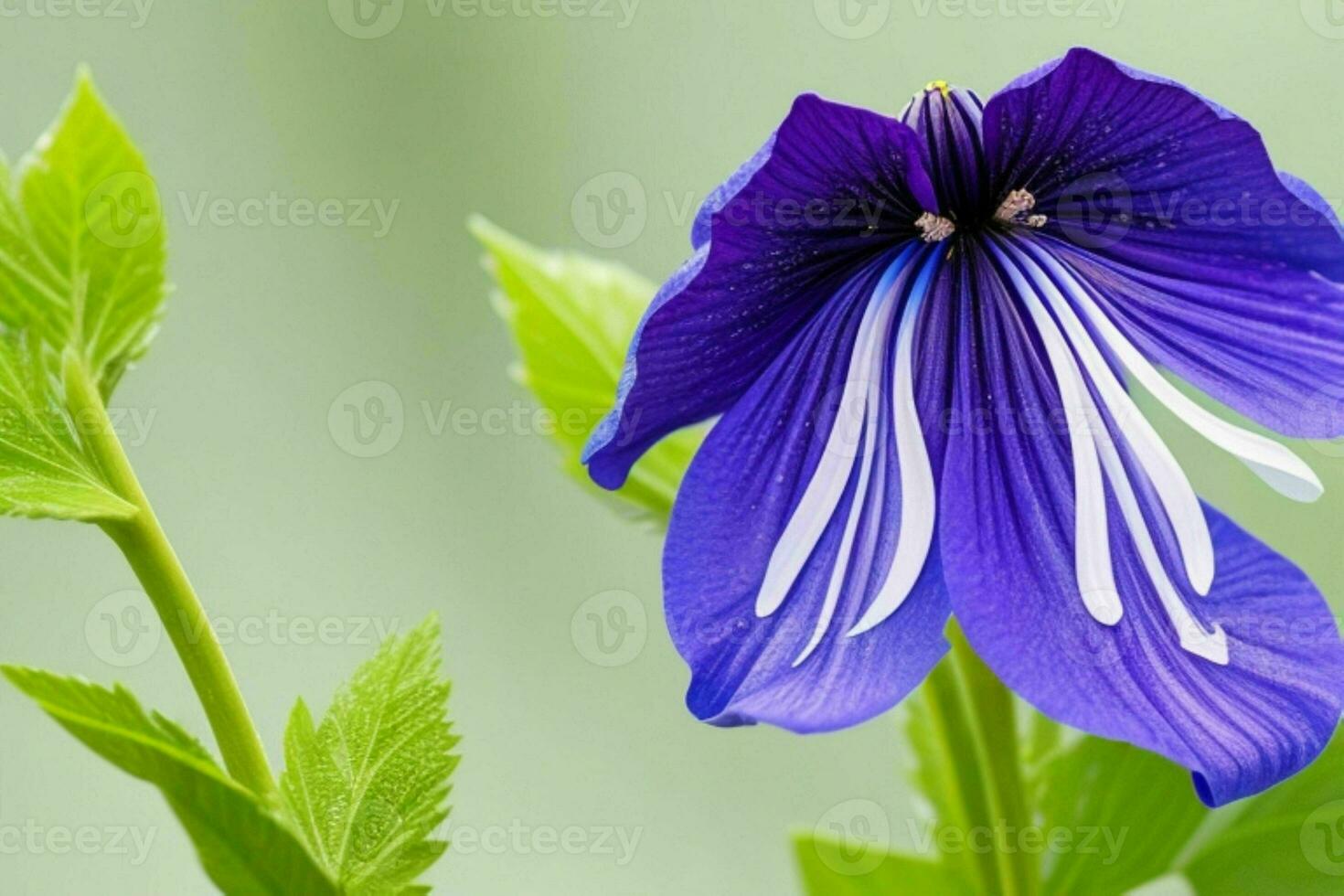 Monkshood flower. background. AI Generative Pro Photo