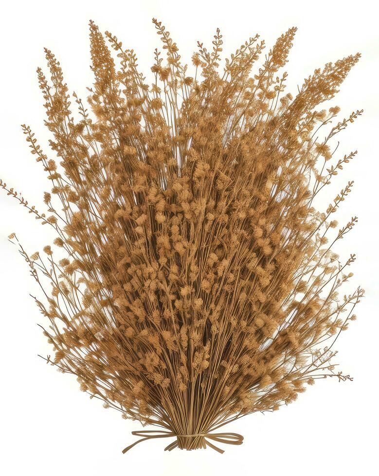 Knitted bunch of dried meadow herbs, cute decorative element isolated on white background. Herbarium, dried grass. AI generated photo