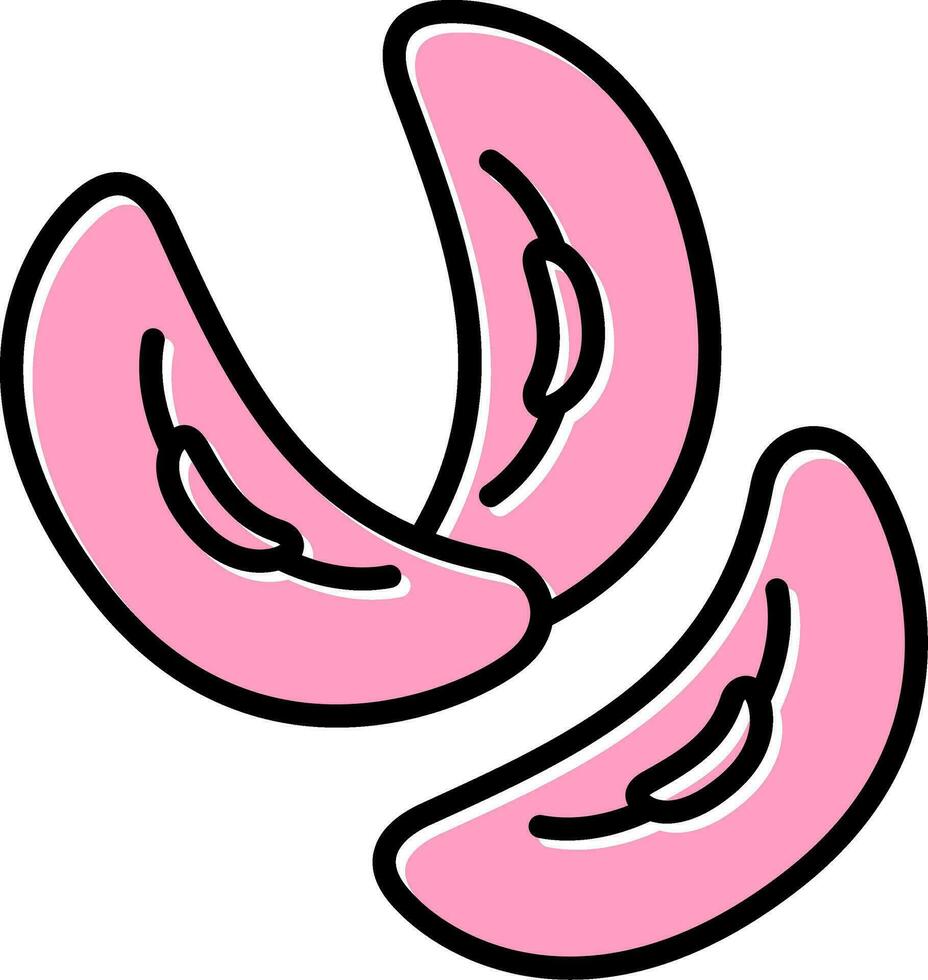 Kidney Bean Vector Icon