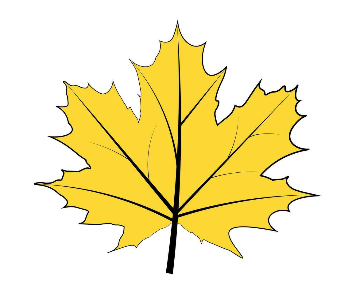 Maple leaf on white background vector