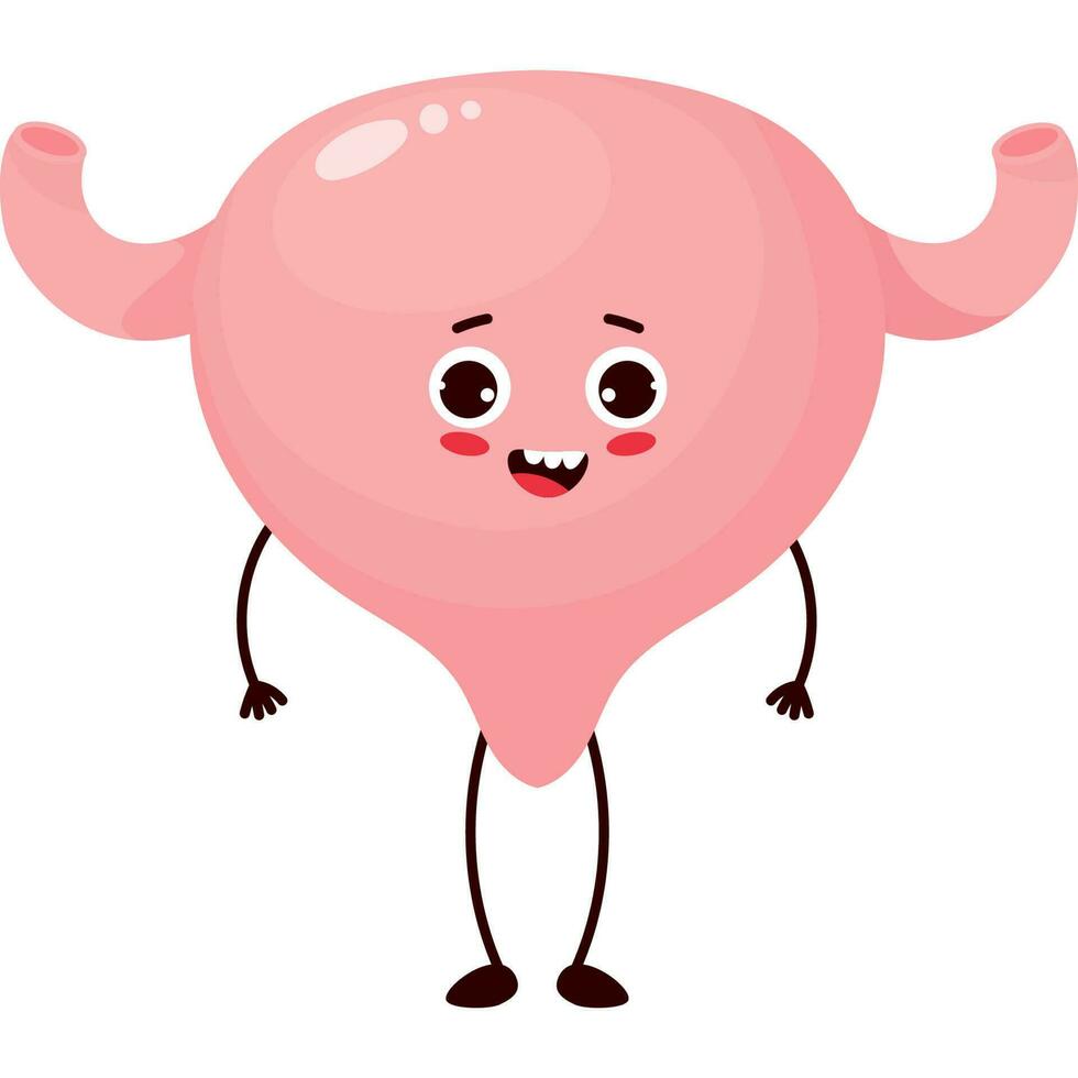 cute character organ Bladder vector