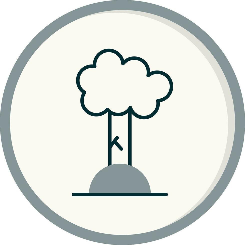 Beech Vector Icon