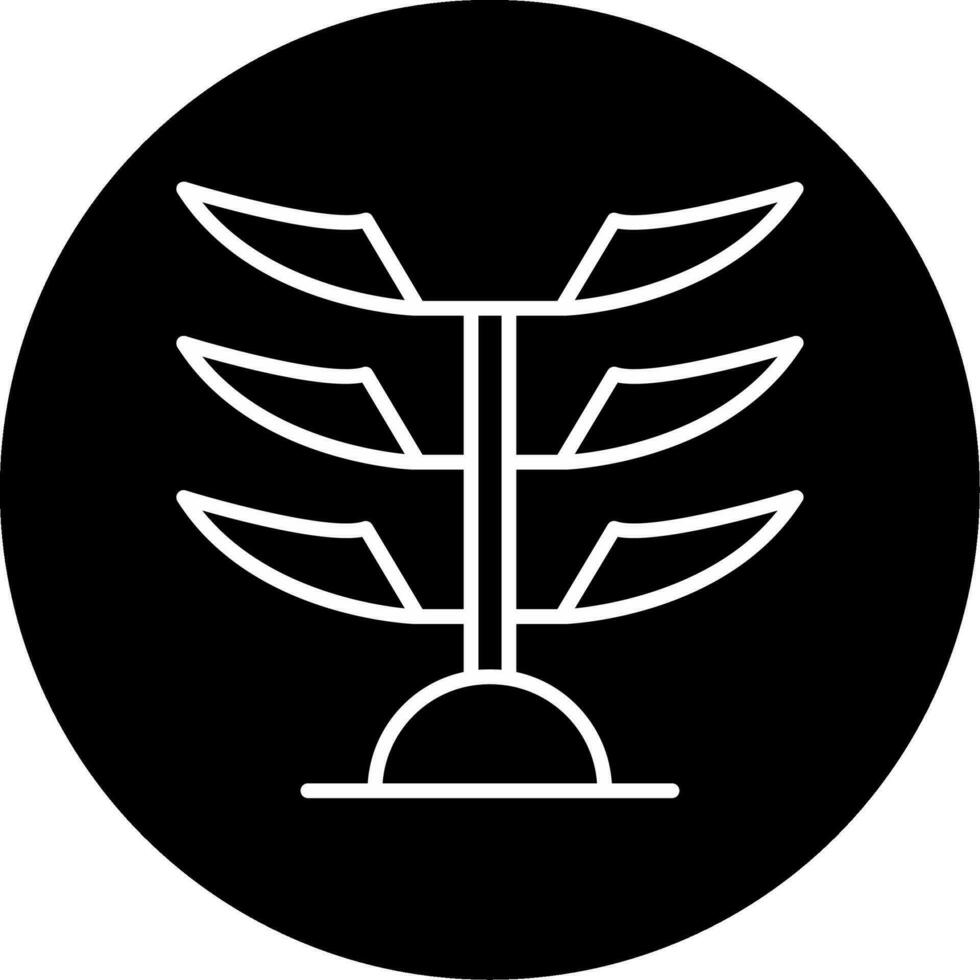 Araucaria Vector Icon