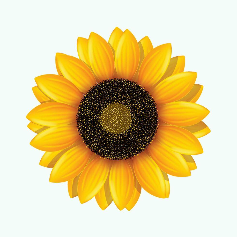 imagen de girasol vector