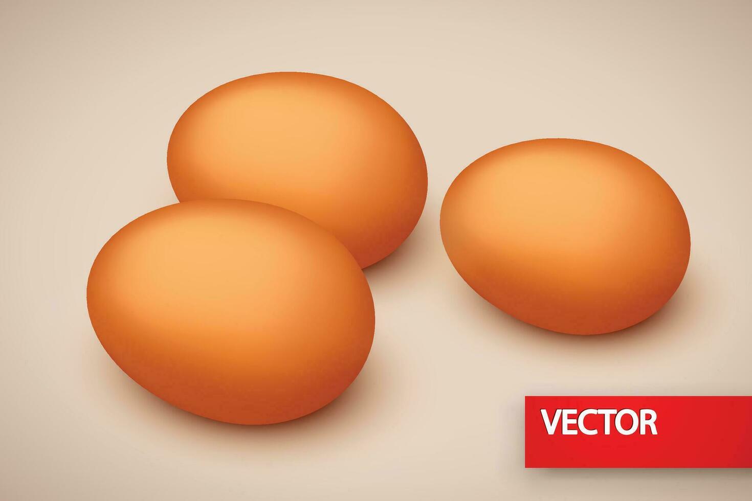 eggs on bright  back vector