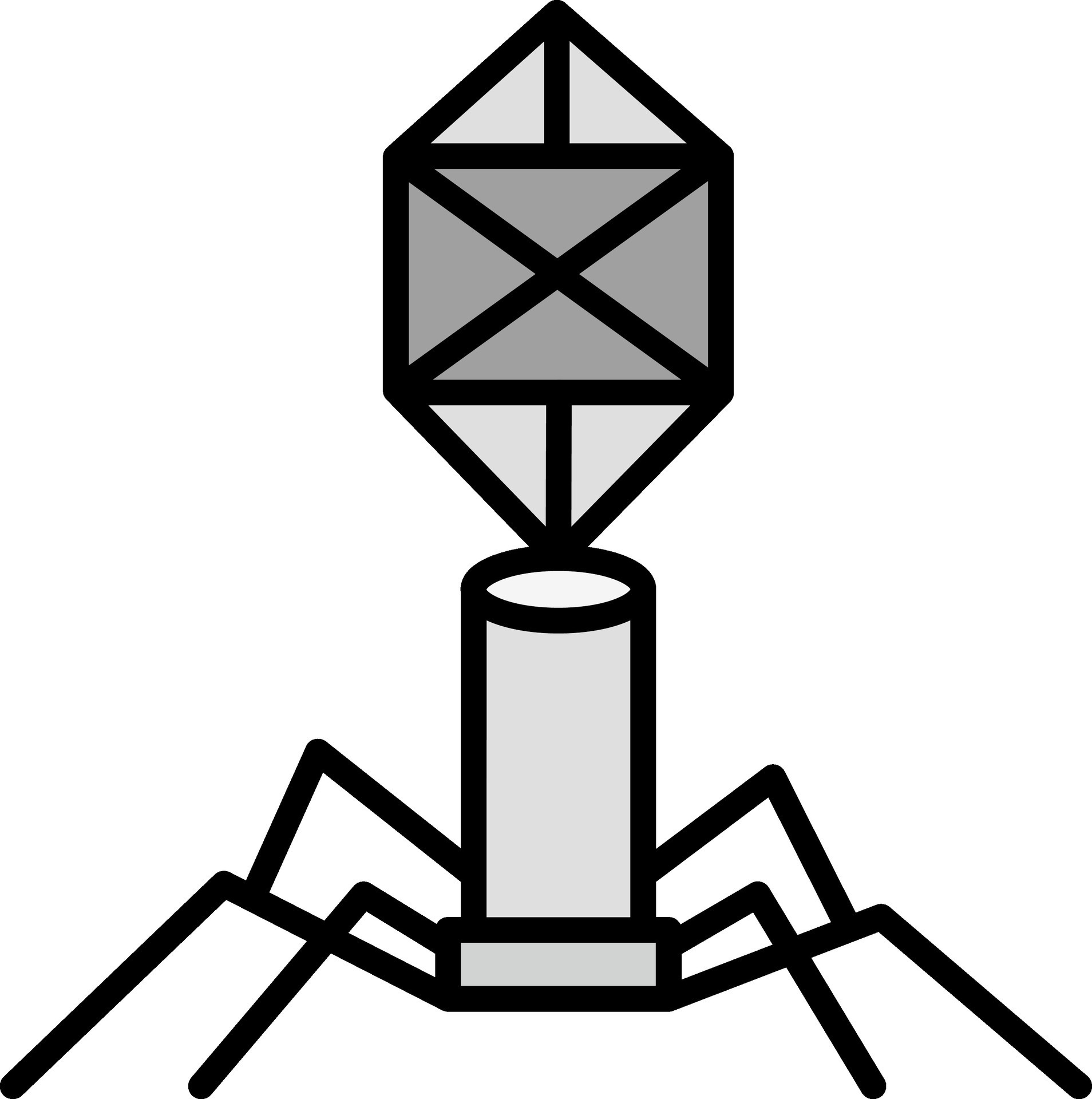 line filled grey 32548332 Vector Art at Vecteezy
