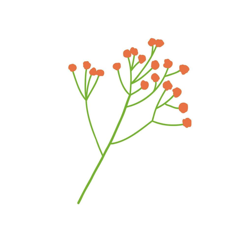 vector ilustración de baya rama. mano dibujado otoño planta garabatear bosquejo aislado en blanco antecedentes.