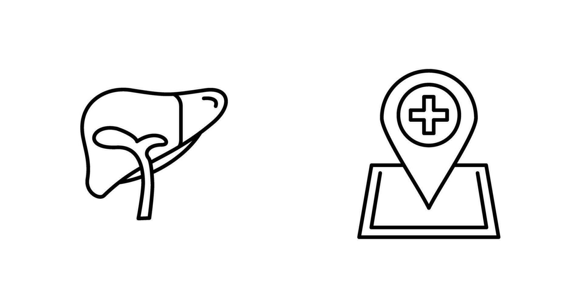 Liver and Location Icon vector