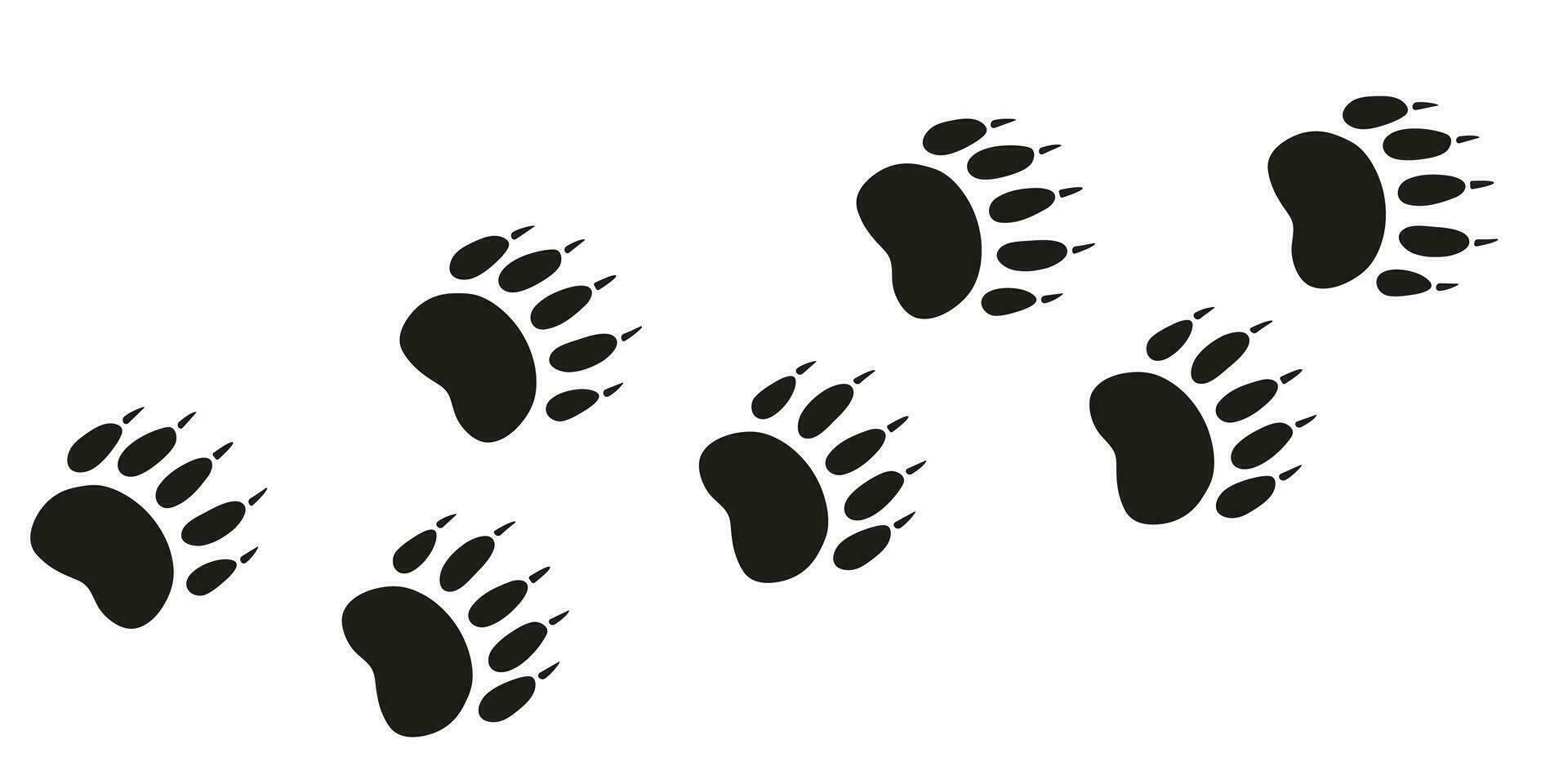 Bear paws. Animal foot traces. Bear black footprints on white background. Flat vector illustration. Design for print, decoration, childrens educational book