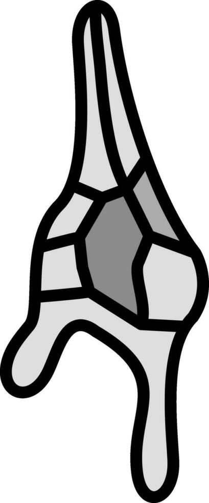 Ceratium Dinoflagellate Vector Icon