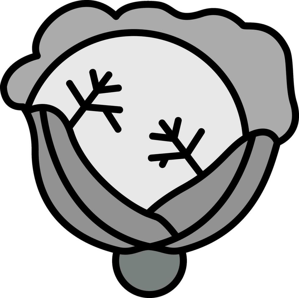 Cabbage Vector Icon