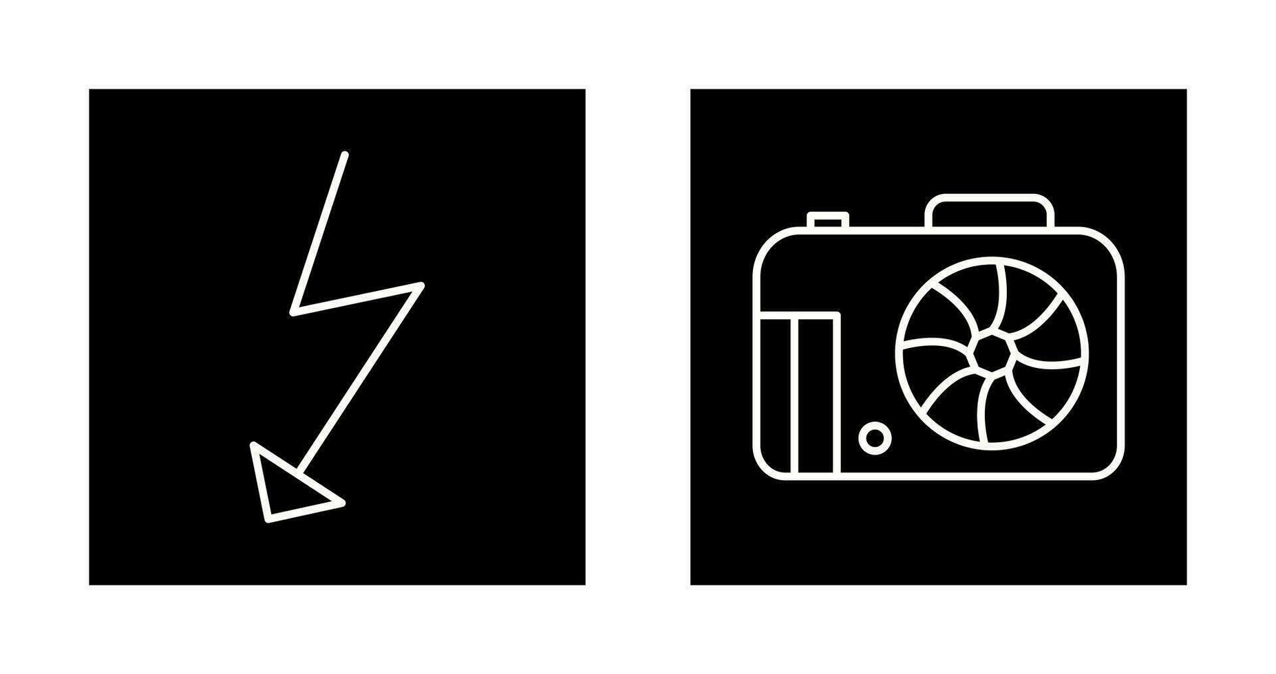 flash and camera Icon vector