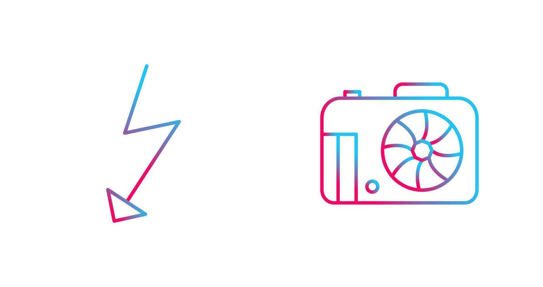 flash and camera Icon vector