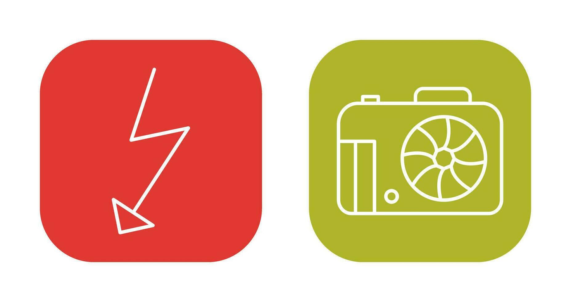 flash and camera Icon vector