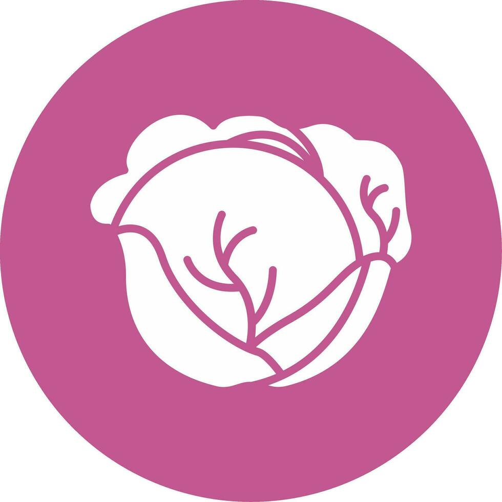 Red Cabbage Vector Icon