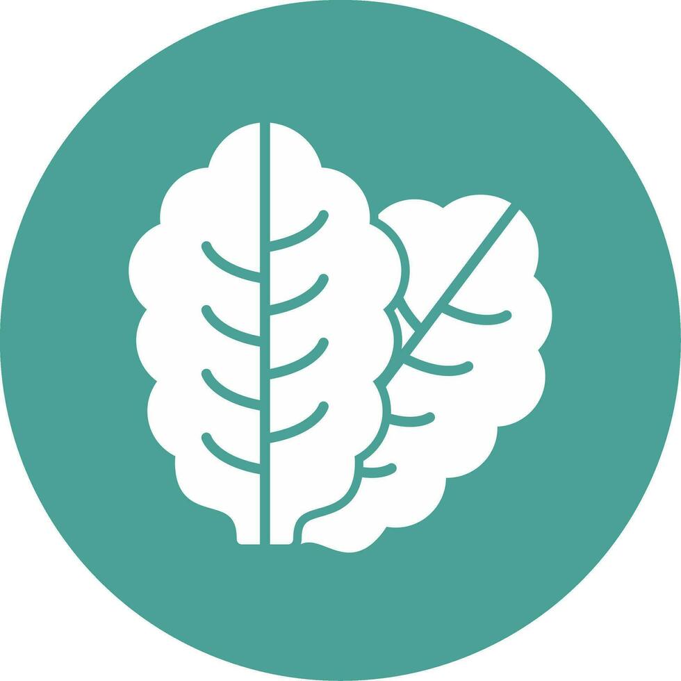 Lettuce Vector Icon