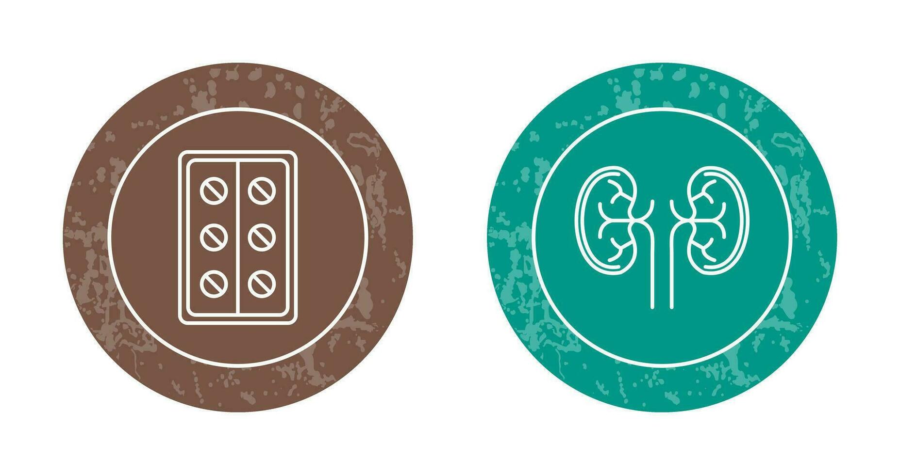 Pills and Kidney Icon vector