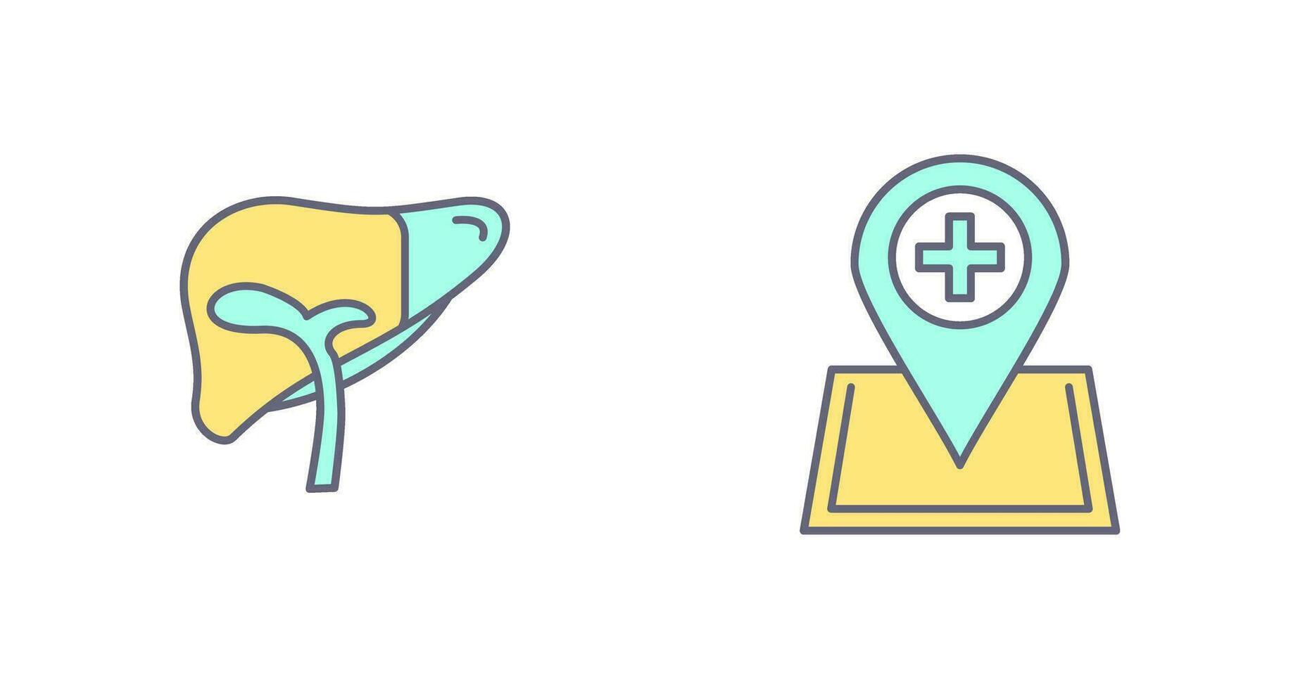 Liver and Location Icon vector