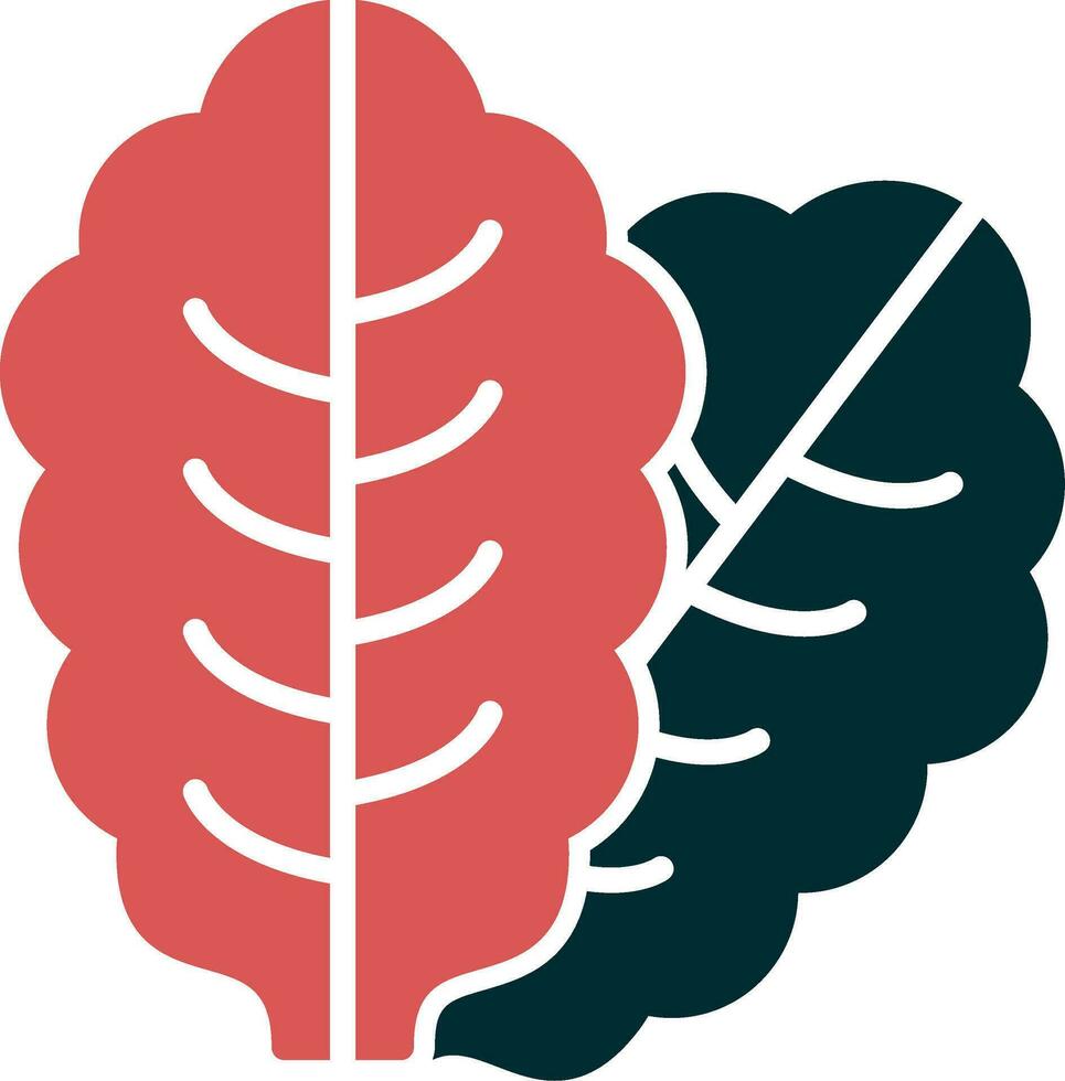 Lettuce Vector Icon