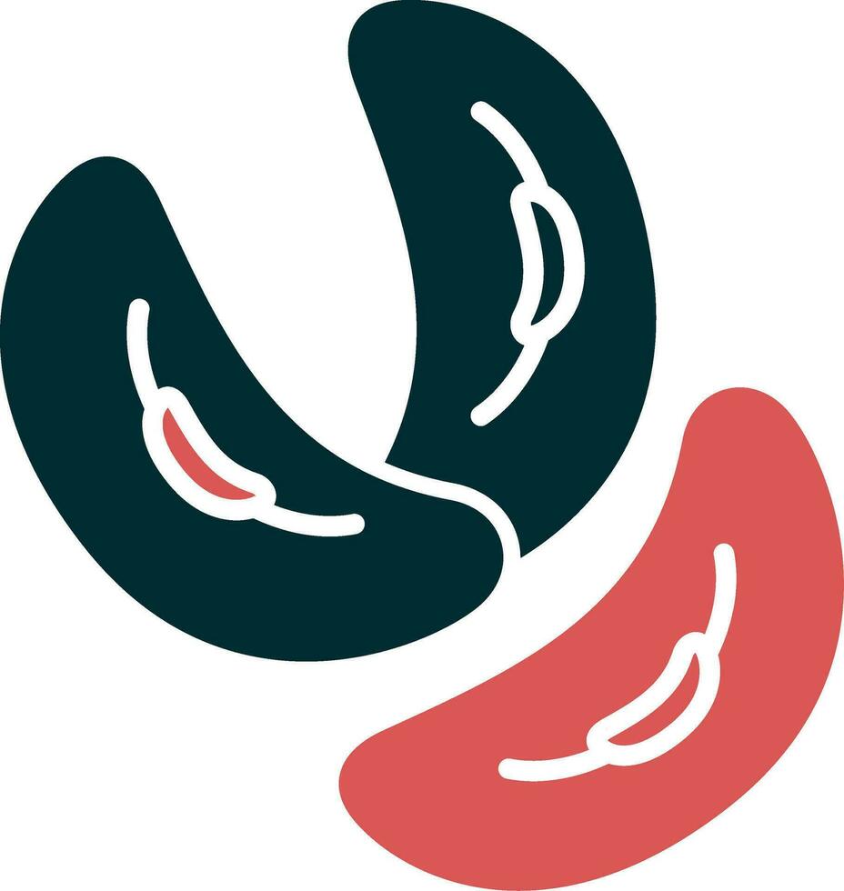 Kidney Bean Vector Icon