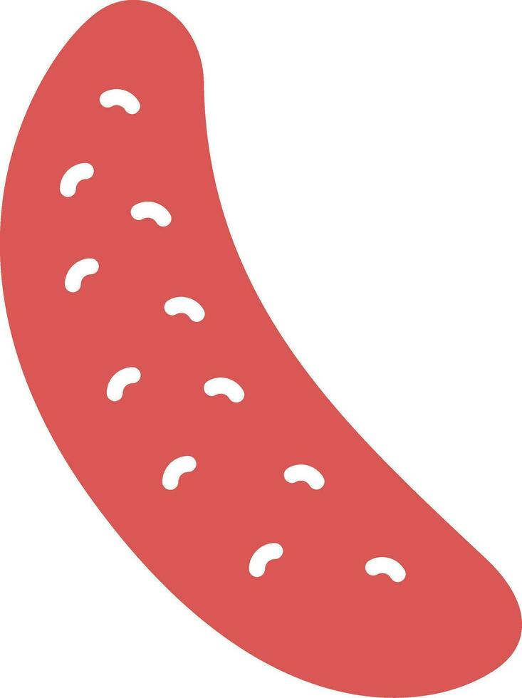 Cucumber Vector Icon