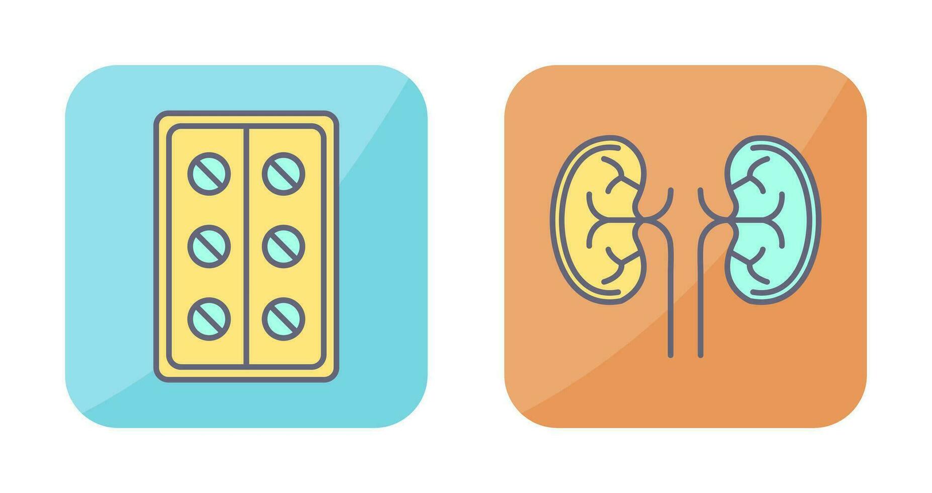 Pills and Kidney Icon vector