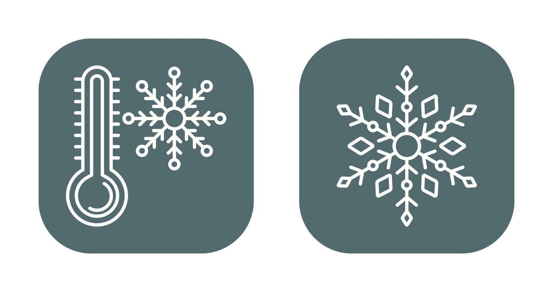 Snow Flake and Cold Icon vector