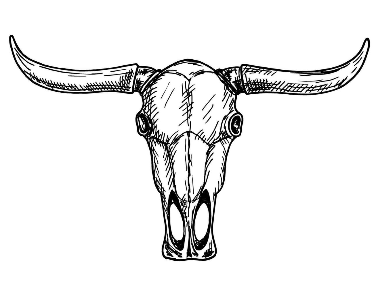 búfalo cráneo. salvaje Oeste impresión. bosquejo mano dibujado vector ilustración, aislado en blanco. Clásico dibujo para camiseta imprimir, póster, colorante libro. tatuaje toro cráneo