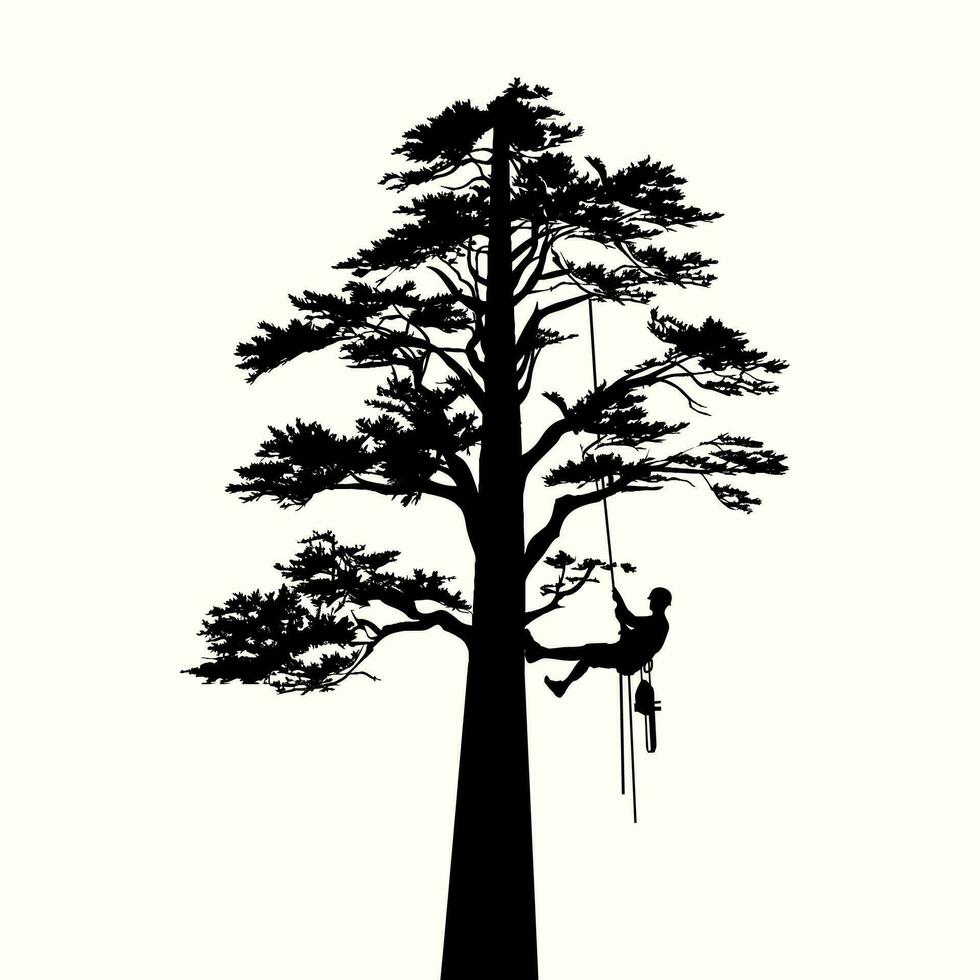 Tree climbers hanging on the tree. Woodwork. Pruning in the park. vector