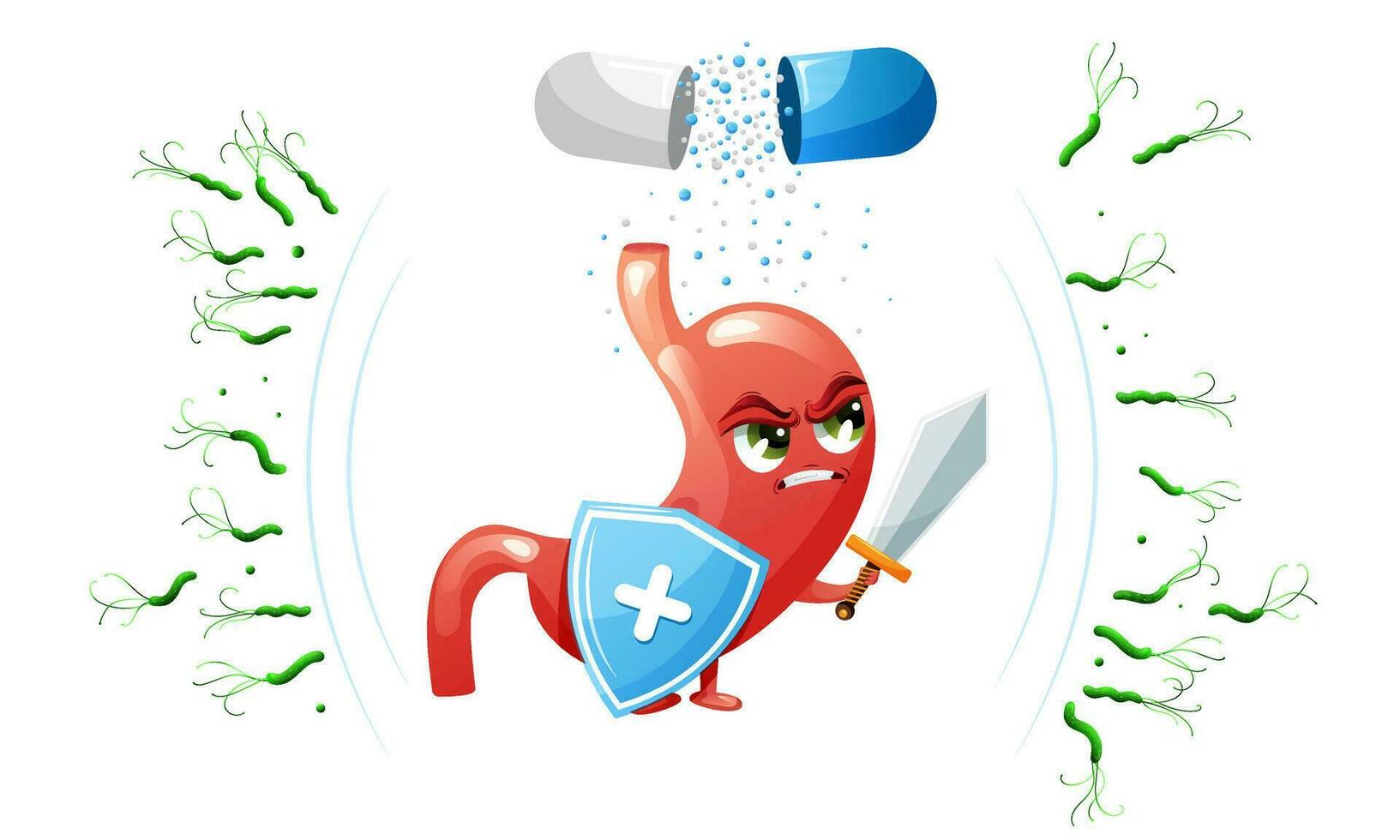 Cartoon stomach character with shield, sword and pill against helicobacter pylori bacteria vector