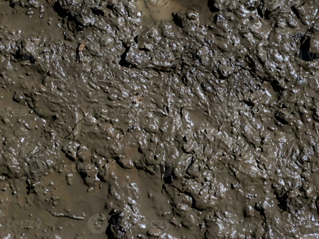 muddy texture with the surface of the river. photo