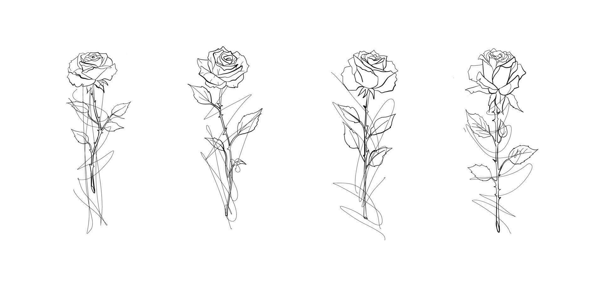 Flower and leaf rose hand draw sketch black and white with line art vector