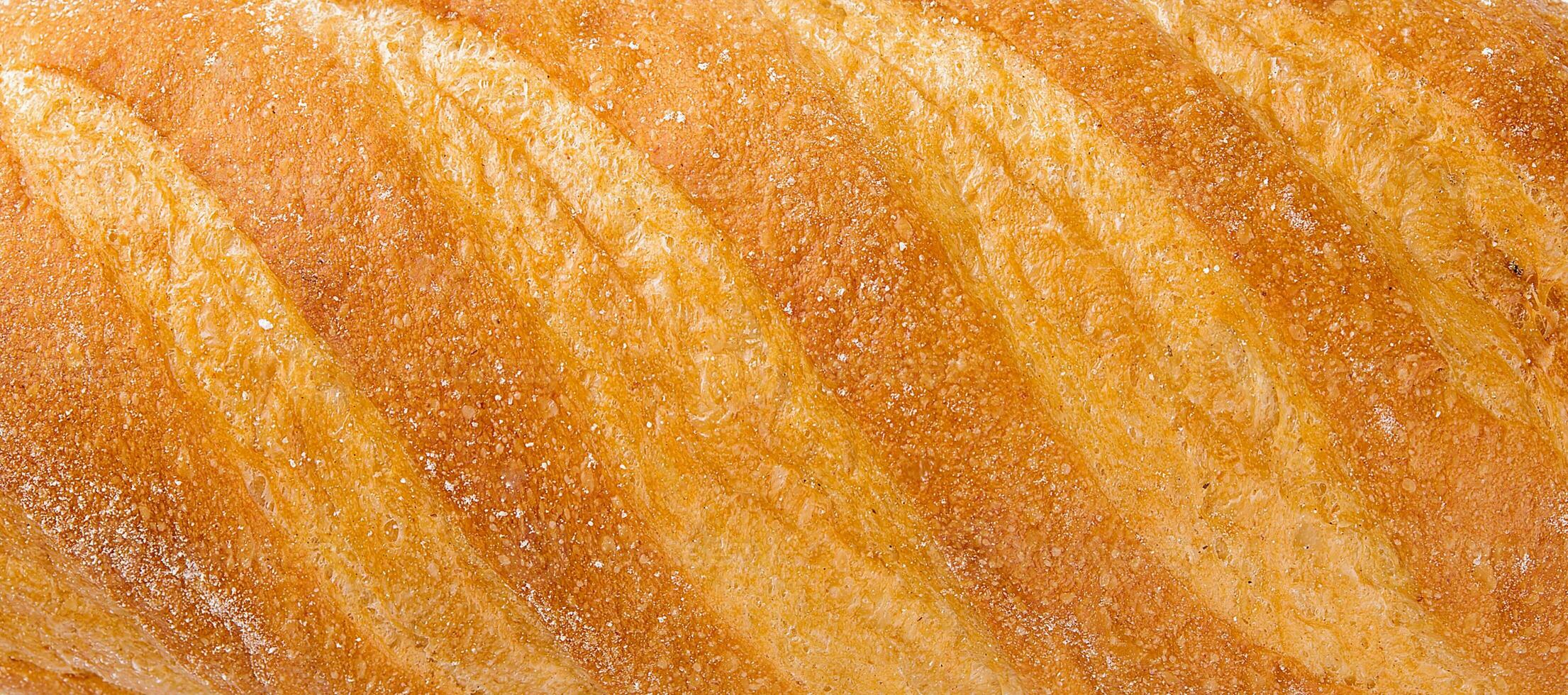 Sourdough loaf bread close up background photo