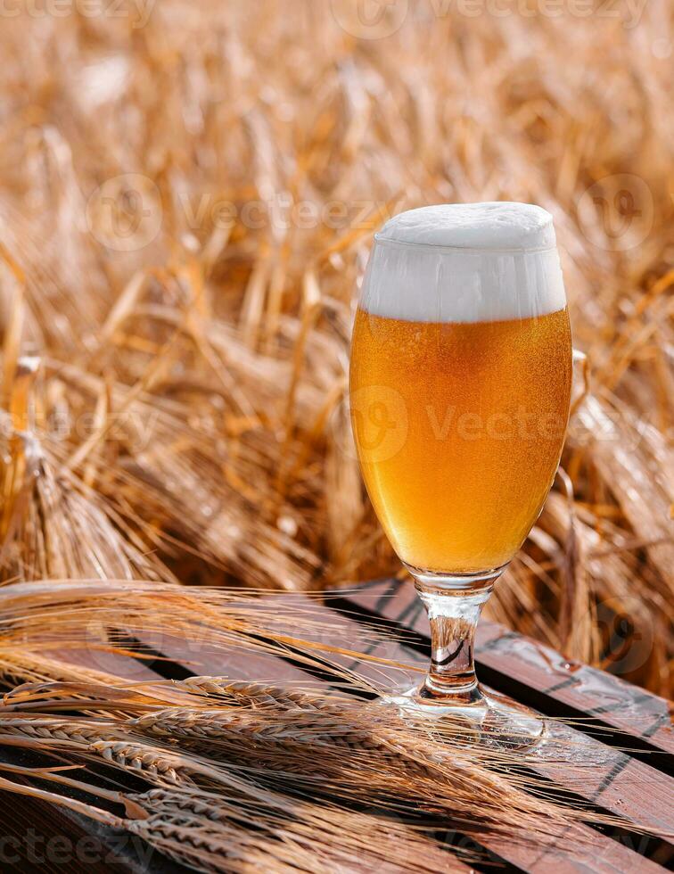 glass of blonde beer on wooden table with sunny wheat field photo