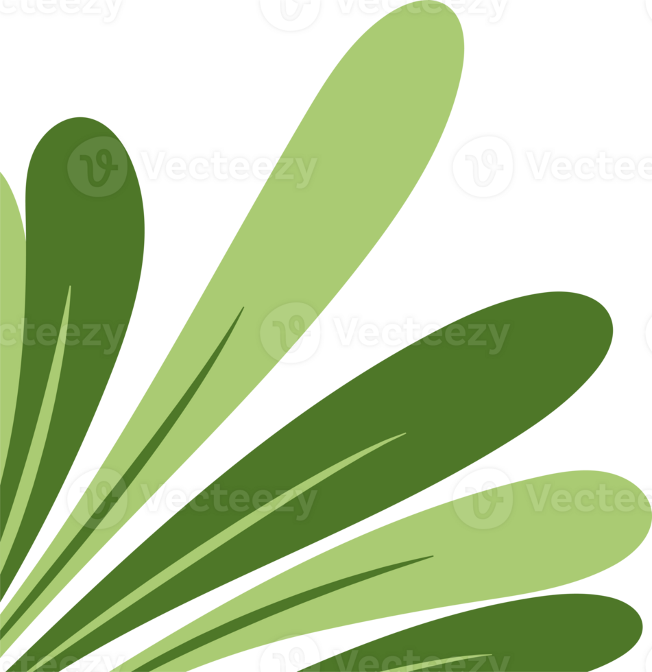 Fresh Tropical Leaf Corner Border png
