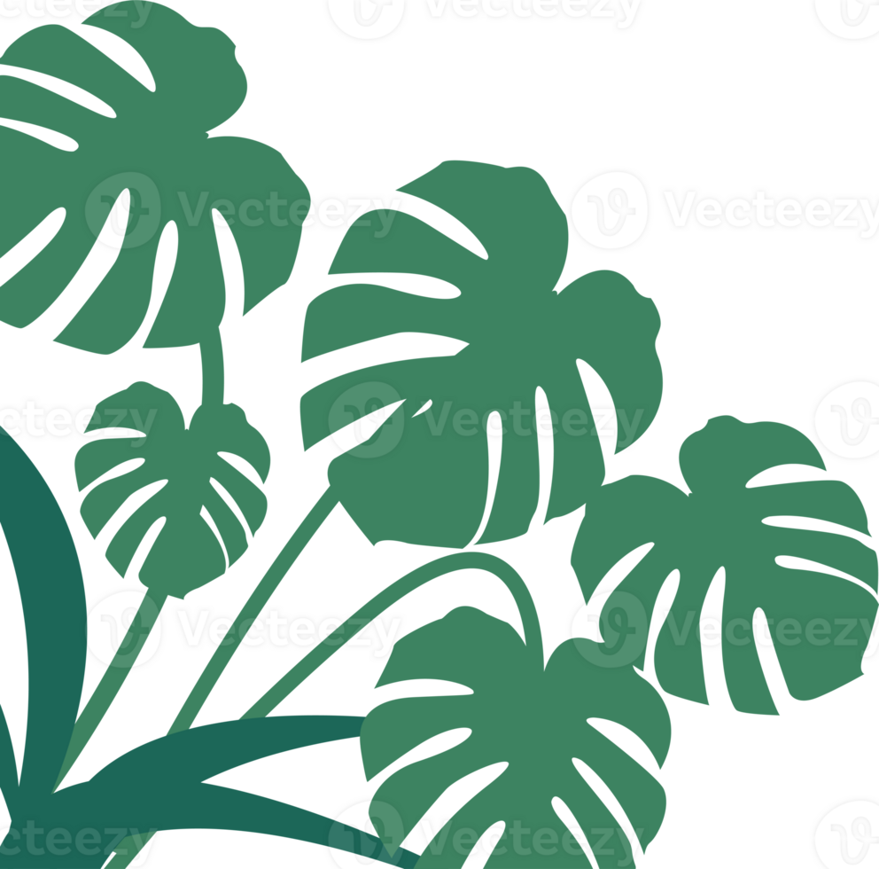 Fresh Tropical Leaf Corner Border png