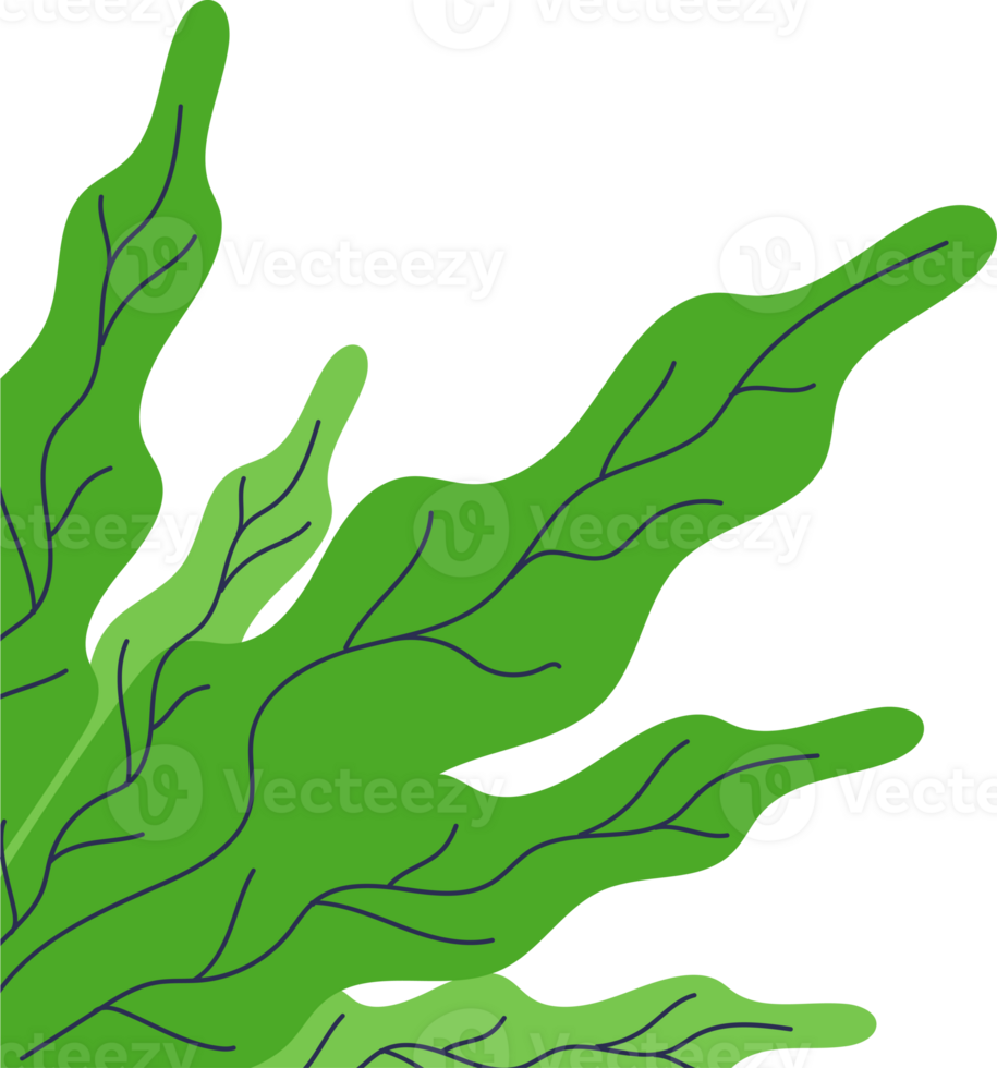 Fresh Tropical Leaf Corner Border png