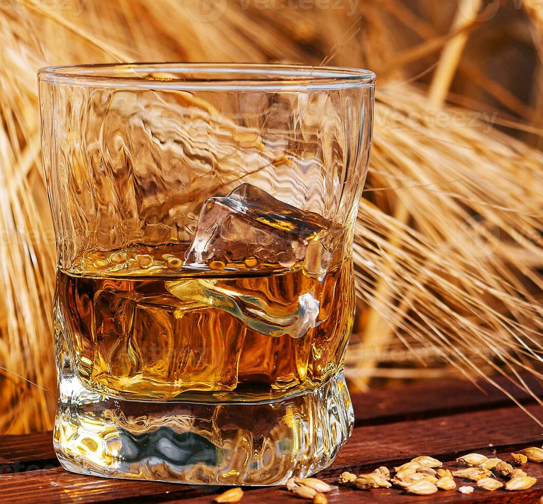 glass of whiskey in a field with ears photo