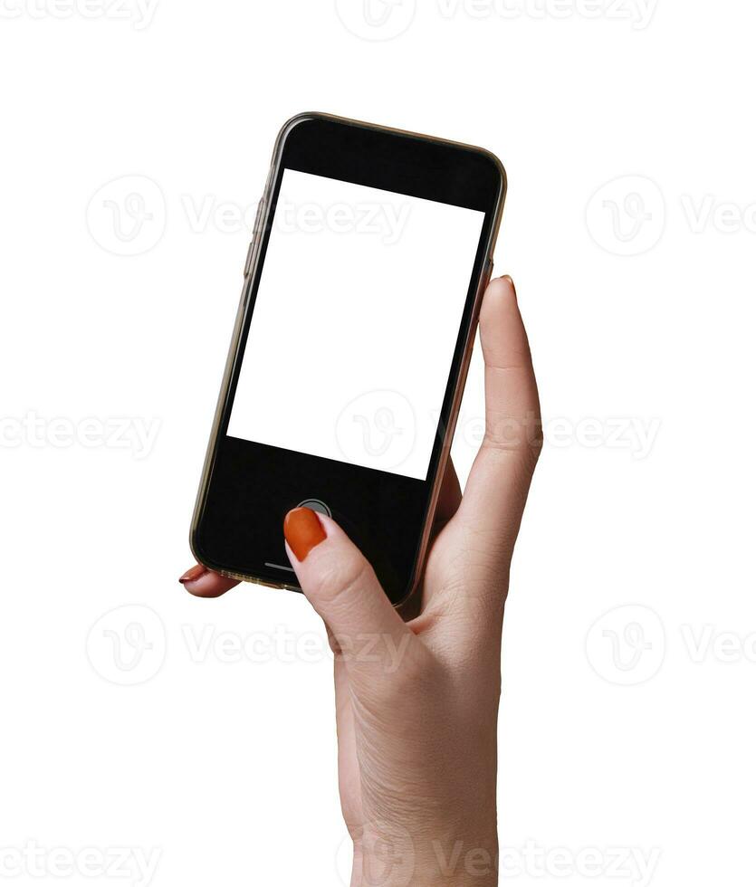 Female hands holding modern cellphone against white background photo