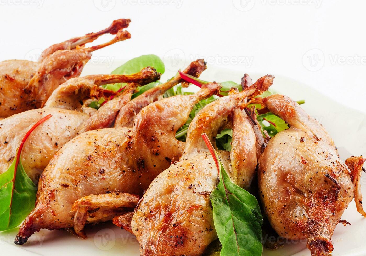 Tasty fried quail on white plate photo